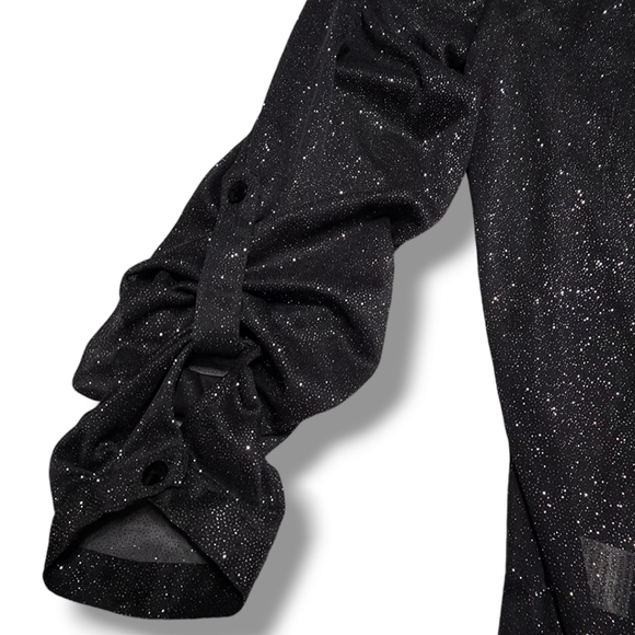 Lynn Ryan Sheer Black Blouse with Silver Glitter Size Large (L) Long Sleeve NWT - Picture 6 of 12
